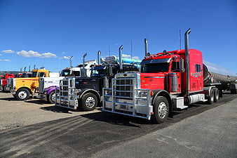 Row of colorful semi-trucks parked in a sunny lot