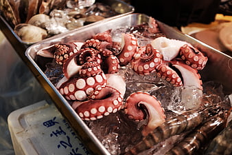 Fresh Octopus Tentacles on Ice at Seafood Market