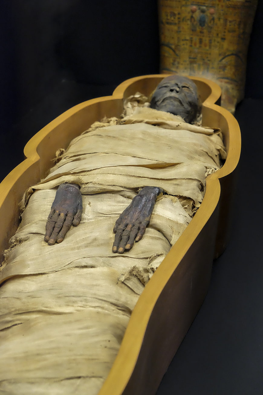 Ancient Egyptian Mummy in Wooden Sarcophagus with Hieroglyphs