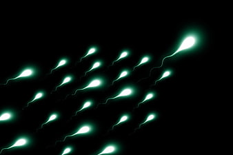 Glowing sperm cells swimming on black background