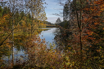 Serene Autumn Lake View Through Colorful Forest Trees