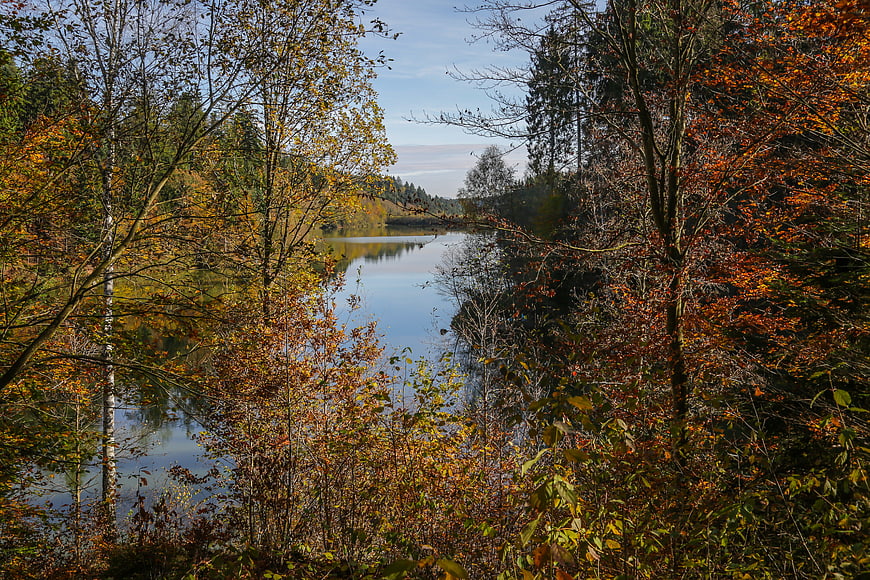 Serene Autumn Lake View Through Colorful Forest Trees
