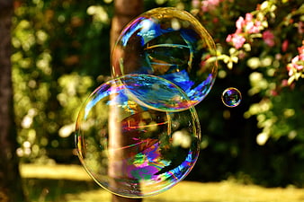 Iridescent soap bubbles floating in a sunny garden