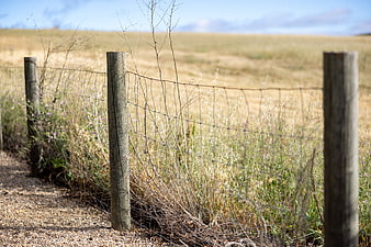 Rustic wooden fence posts in a dry grassy meadow