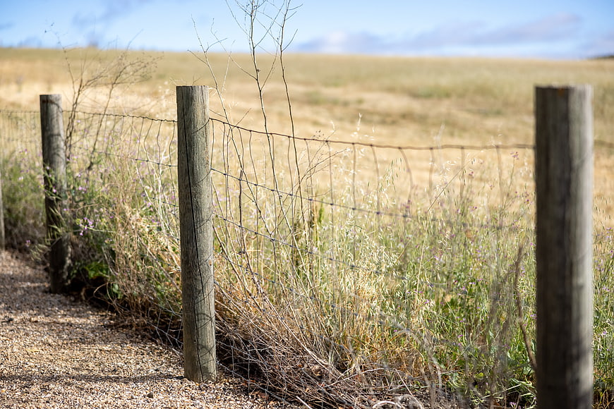 Rustic wooden fence posts in a dry grassy meadow