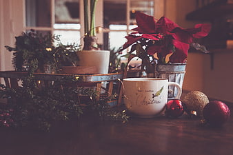 Cozy Christmas Table Setting with Mug and Poinsettia