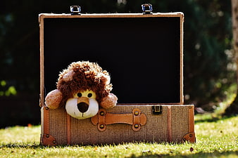 Cute Lion Plush Toy Peeking Out Of Vintage Suitcase On Grass