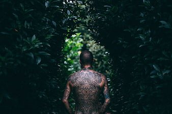 Man with intricate back tattoos standing in dark forest