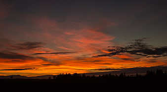 Dramatic Orange Sunset Sky Over Silhouetted Forest Landscape