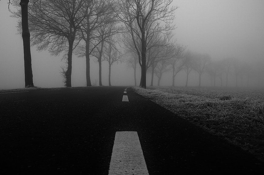 Foggy Black and White Road with Bare Trees