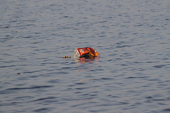 Plastic Bag Floating In Gray Water Pollution