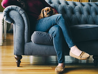 Woman relaxing on blue sofa with Cavalier King Charles Spaniel