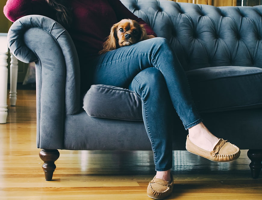 Woman relaxing on blue sofa with Cavalier King Charles Spaniel