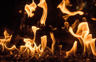 Close-up of flickering orange flames on dark background