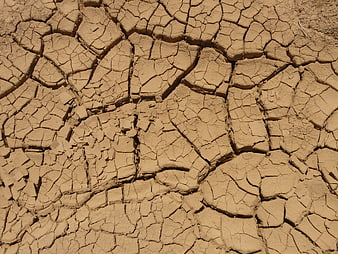 Close-up of cracked dry earth texture in a desert landscape