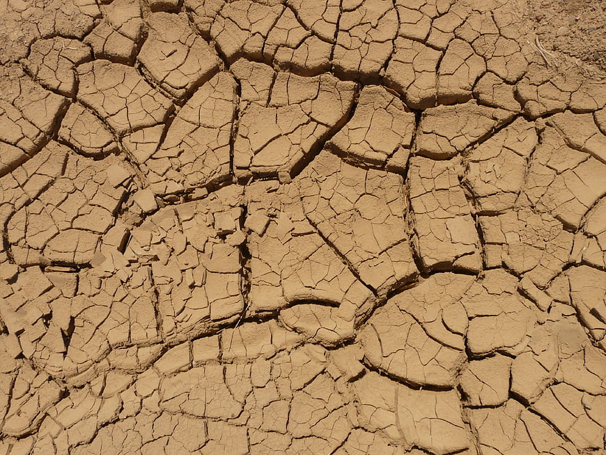 Close-up of cracked dry earth texture in a desert landscape