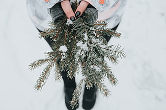 Woman holding snowy pine branches in winter