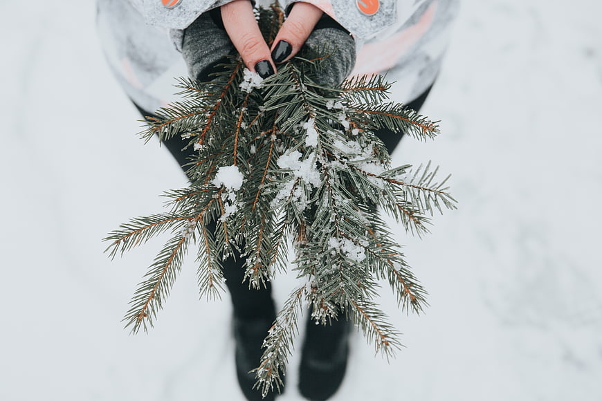 Woman holding snowy pine branches in winter