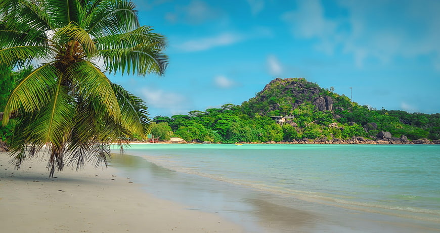 Tropical Beach Landscape With Palm Tree And Turquoise Water