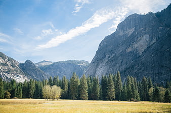 Golden Valley Meadow with Towering Granite Mountains and Pine Forest
