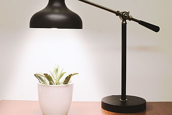 Black Desk Lamp Illuminating Potted Succulent Plant