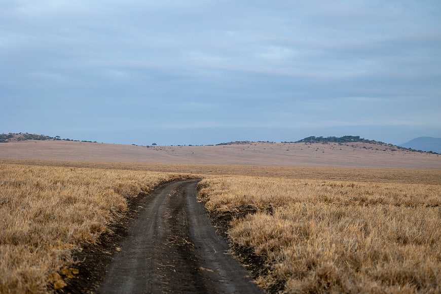 Dirt road winding through dry grassy landscape