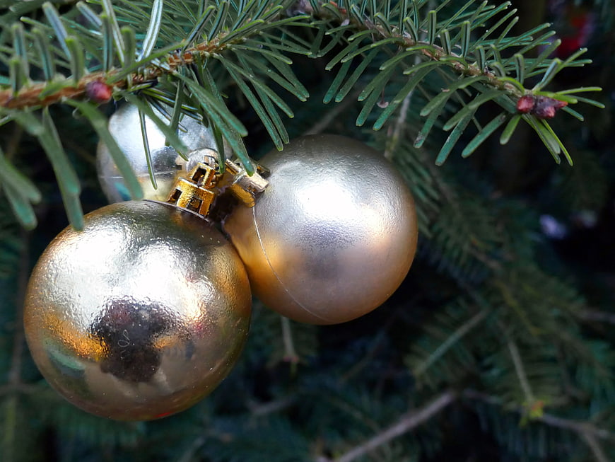 Close-up of Gold Christmas Ornaments on Pine Branch