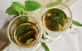 Top View of Herbal Tea with Mint and Fennel in Glass Cups