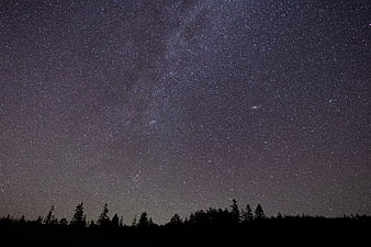 Milky Way Galaxy Over Dark Forest Silhouette at Night
