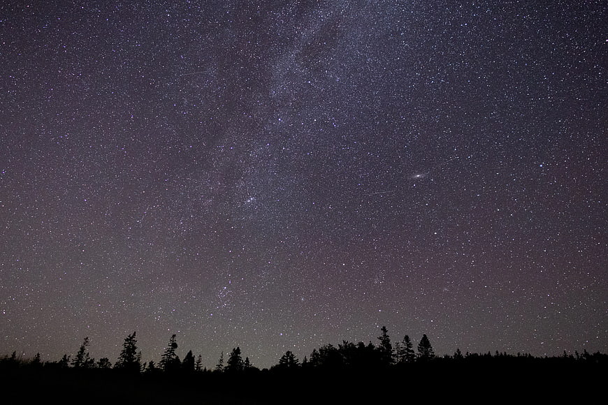 Milky Way Galaxy Over Dark Forest Silhouette at Night