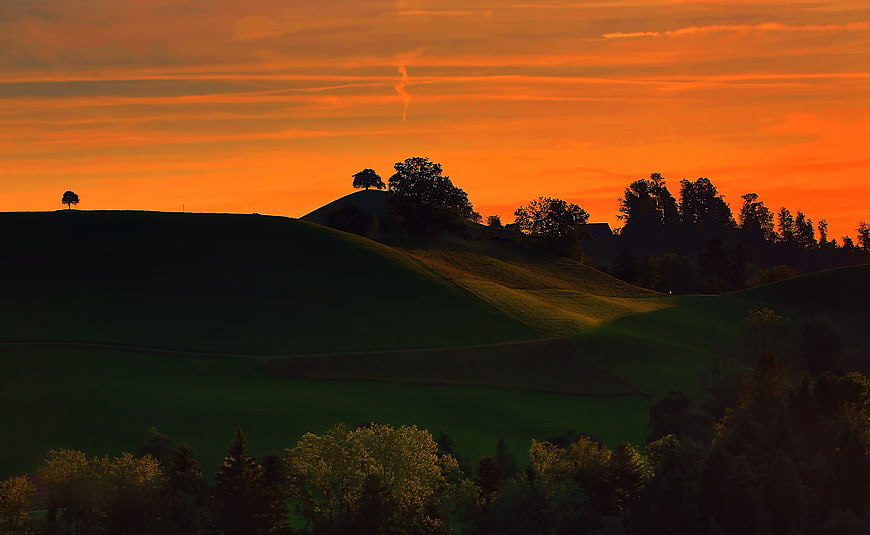Dramatic Orange Sunset Over Rolling Green Hills and Silhouetted Trees