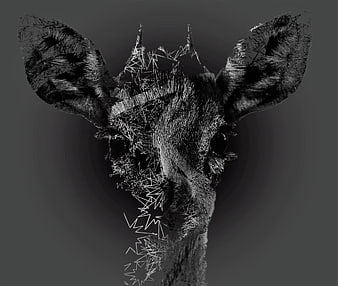Abstract Black and White Giraffe Head Art
