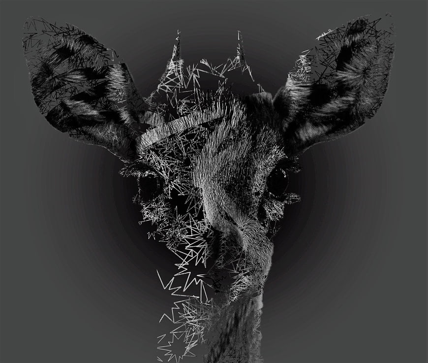 Abstract Black and White Giraffe Head Art