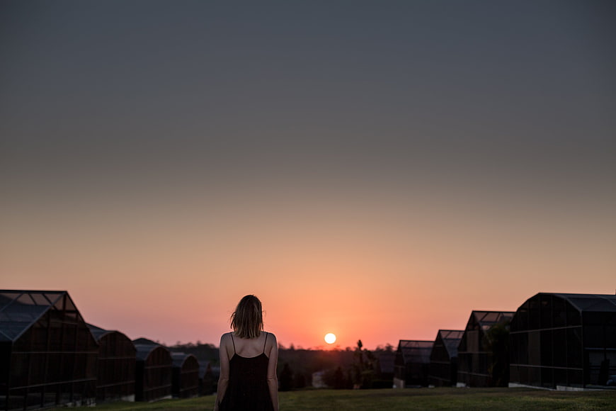 Woman Silhouette Watching Sunset Over Greenhouses