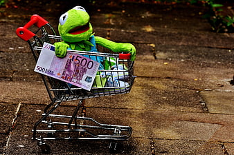 Kermit the Frog in Mini Shopping Cart with Euro Banknote