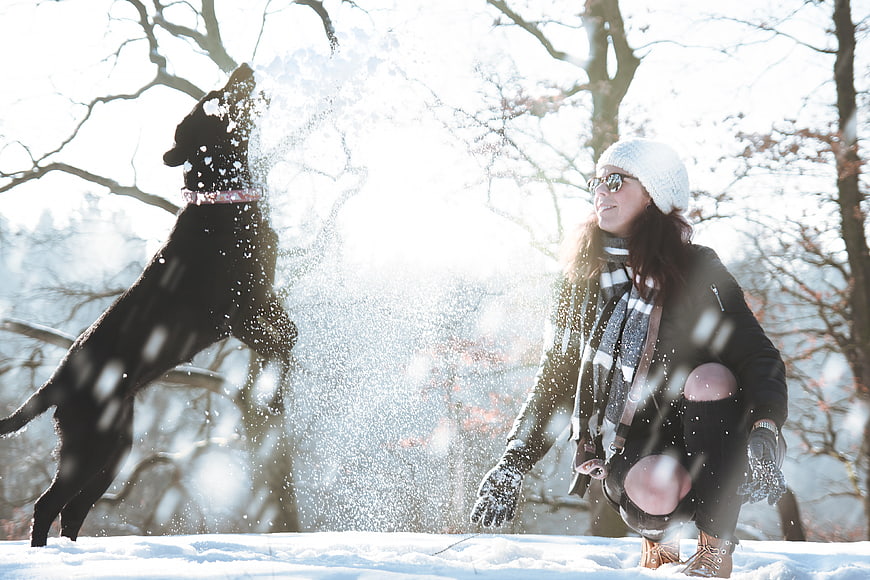 Happy Woman Playing with Black Dog in Snowy Winter Forest