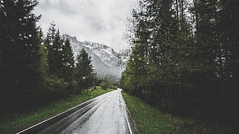 Wet Mountain Road Through Forest with Raindrops