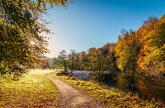 Autumn River Path With Morning Sunlight And Golden Foliage