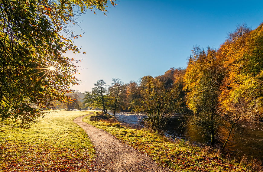 Autumn River Path With Morning Sunlight And Golden Foliage