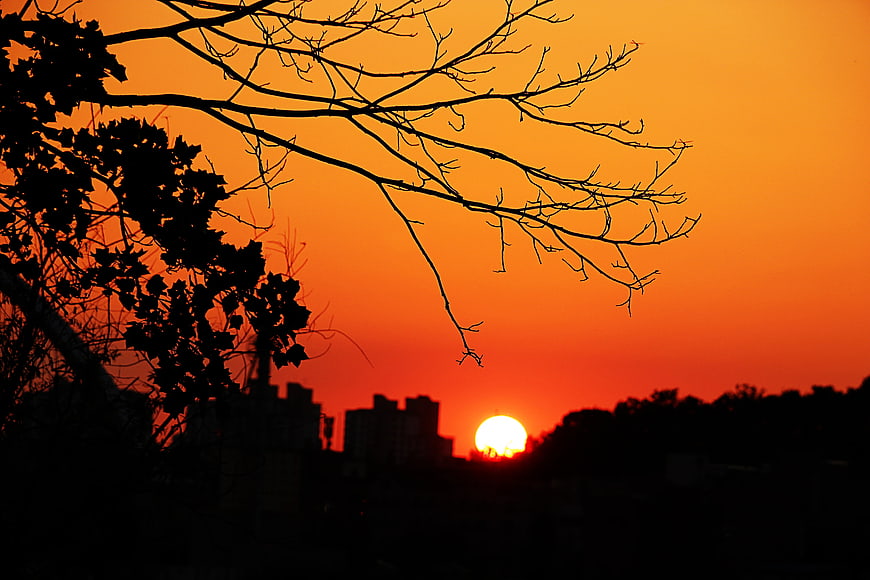 Vibrant orange sunset with silhouetted tree branches and city skyline