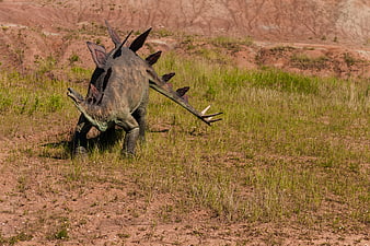 Stegosaurus Model In Outdoor Park Setting