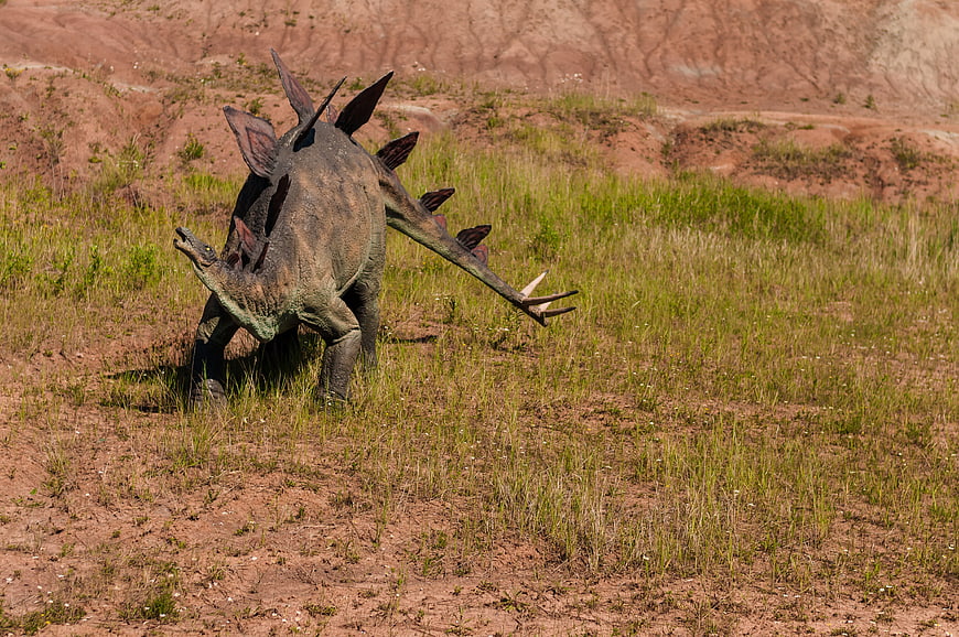 Stegosaurus Model In Outdoor Park Setting