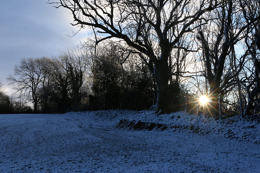 Winter Landscape with Sun Flare Through Bare Trees