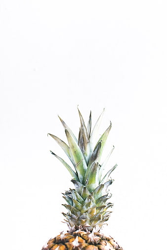 Top of fresh pineapple with green leaves on white background