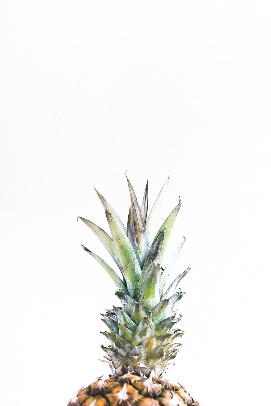 Top of fresh pineapple with green leaves on white background
