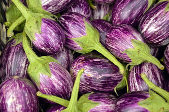 Fresh Striped Purple Eggplants With Green Stems In Market Display