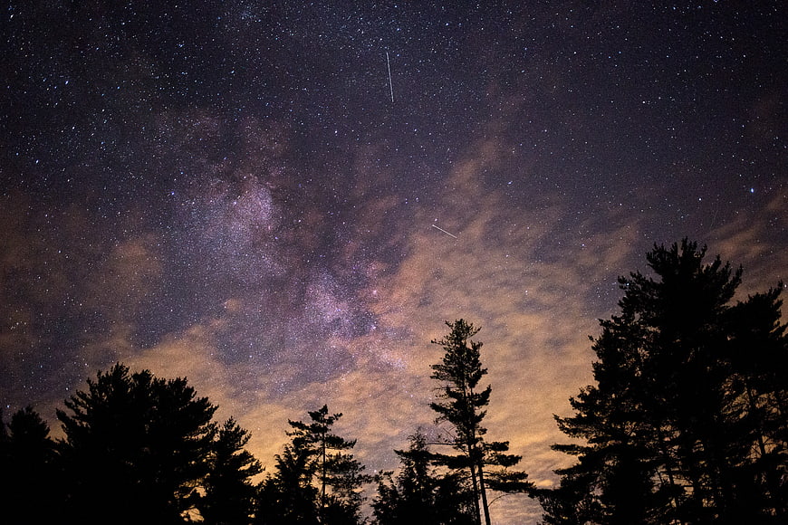 Milky Way and Meteor Shower Over Pine Tree Silhouettes