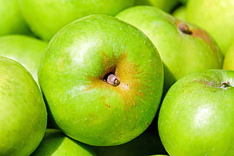 Close-up of fresh green apples with natural texture