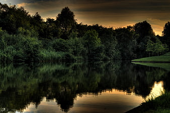Serene Lake Reflection at Sunset with Dark Forest