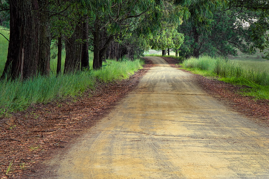 Dirt road winding through green forest landscape